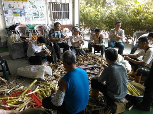 Holy Mountain - Bamboo Shoots Harvest