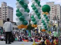 Thumb033.jpg (78459 bytes)