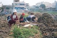 Thumb001.jpg (87251 bytes)