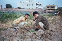 Thumb010.jpg (80971 bytes)