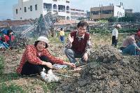 Thumb016.jpg (91024 bytes)