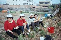 Thumb023.jpg (80734 bytes)