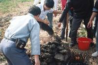 Thumb030.jpg (69268 bytes)