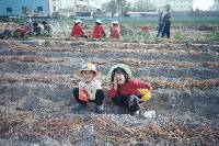 Thumb031.jpg (89277 bytes)