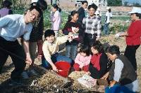 Thumb033.jpg (79021 bytes)