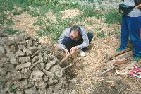 Thumb042.jpg (98266 bytes)