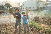 Thumb046.jpg (81041 bytes)