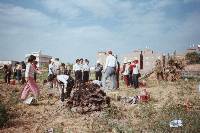 Thumb050.jpg (68582 bytes)