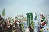 Thumb007.jpg (57508 bytes)