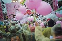 Thumb005.jpg (53072 bytes)