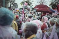 Thumb014.jpg (58366 bytes)