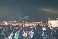 Thumb011.jpg (48577 bytes)