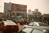 Thumb074.jpg (51427 bytes)