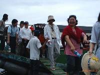 Thumb032.jpg (52639 bytes)