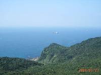 Thumb034.jpg (44451 bytes)