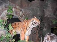 Thumb038.jpg (65402 bytes)