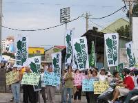 Thumb049.jpg (70474 bytes)