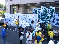 IMG_3335.JPG (157545 bytes)