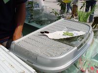 DSC05703.JPG (117233 bytes)