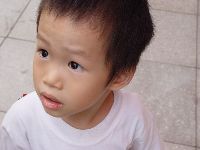 DSC05780.JPG (68760 bytes)