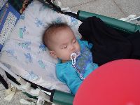 DSC05801.JPG (98318 bytes)