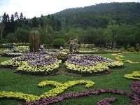 CIMG1657.JPG (155807 bytes)