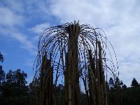 CIMG1746.JPG (100721 bytes)