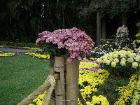 CIMG1757.JPG (149168 bytes)