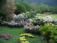 CIMG1760.JPG (177173 bytes)