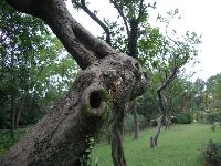 CIMG1773.JPG (150177 bytes)