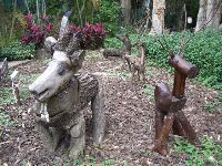 CIMG1795.JPG (191003 bytes)