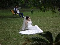 CIMG1820.JPG (123918 bytes)