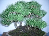 CIMG1841.JPG (153251 bytes)