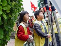 DSC06890.JPG (128167 bytes)