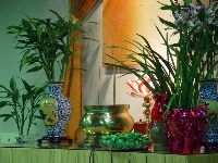 DSC08180.JPG (137286 bytes)