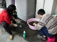 DSCN1604.JPG (112269 bytes)