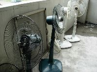 DSCN1606.JPG (117658 bytes)