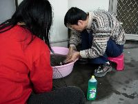 DSCN1607.JPG (108581 bytes)