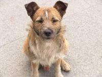 0227-004.JPG (59418 bytes)