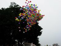 0326_26.JPG (84003 bytes)