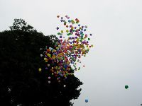 0326_27.JPG (70005 bytes)