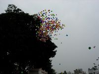 0326_28.JPG (68128 bytes)