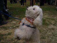 0326_35.JPG (112926 bytes)