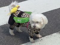 0326peace_013.JPG (115898 bytes)