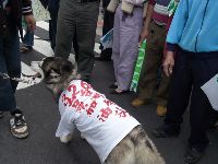 0326peace_018.JPG (104614 bytes)