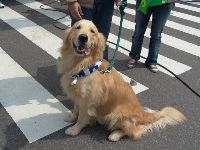 0326peace_024.JPG (114726 bytes)