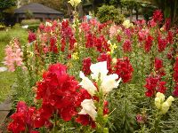 0424_026.JPG (163989 bytes)