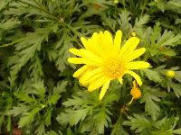 0424_029.JPG (114296 bytes)