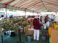 0430_004.JPG (147535 bytes)