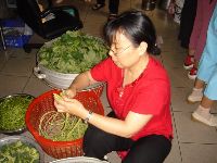 0604_01.JPG (114439 bytes)